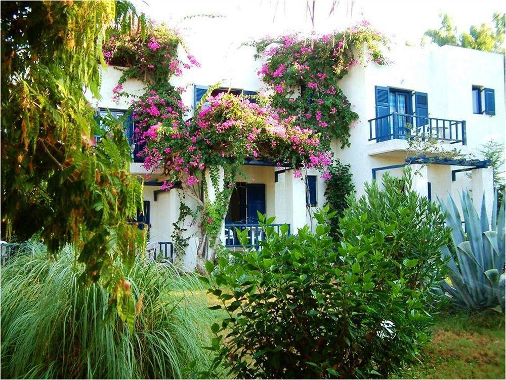 Home Hotel (Adults Only) Hersonissos  Exteriér fotografie